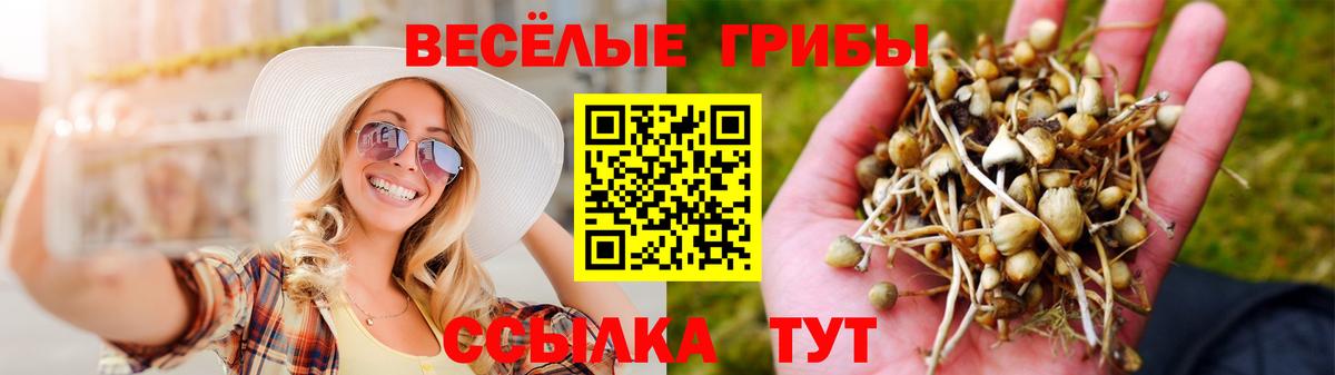 Псилоцибиновые грибы ЛСД  Вход с VPN  что такое   Нижнеудинск 